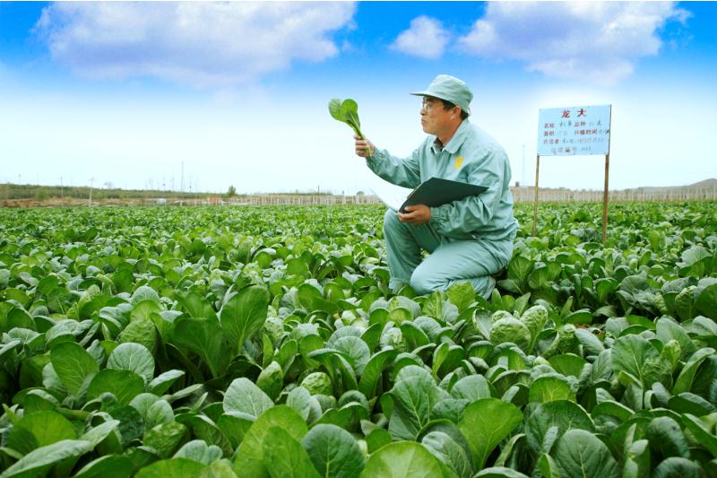 2018年度烟台市经济发展贡献榜单,烟台上半年经济成绩单亮眼