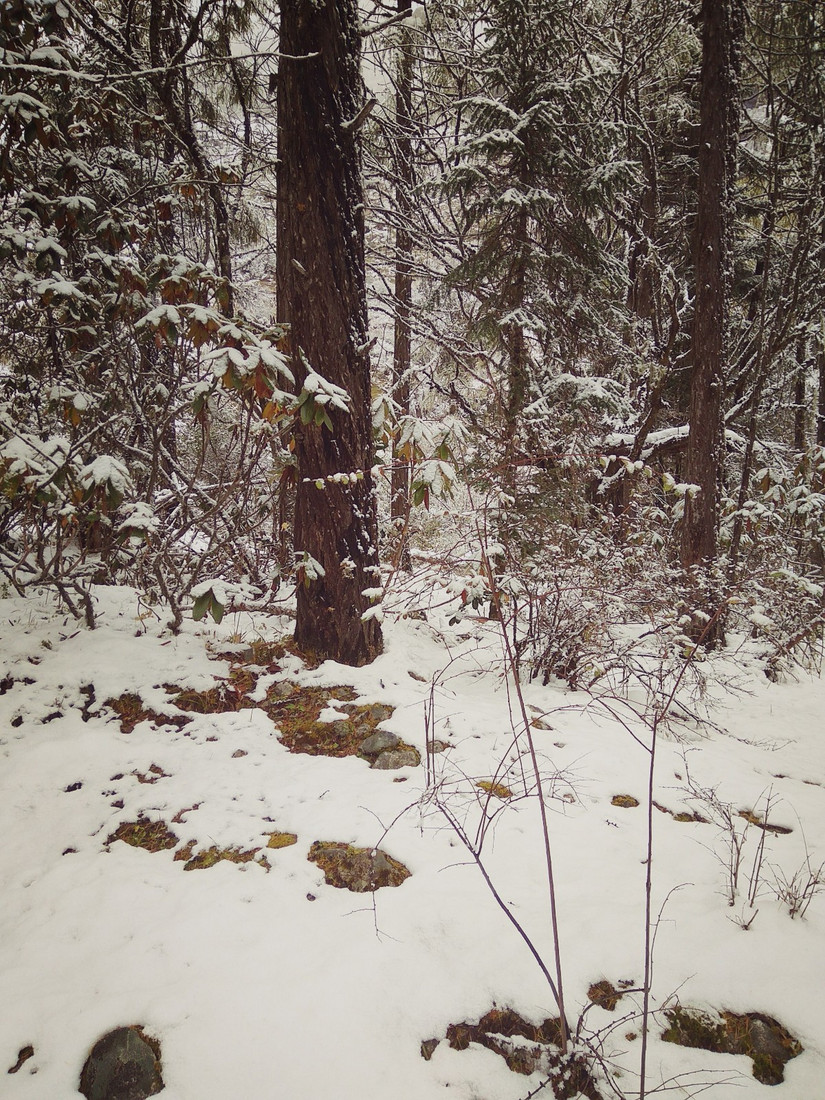 国庆流水账日记,中秋国庆流水账