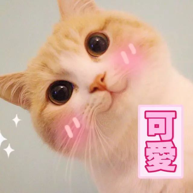 冬至进补,药补不如食补!荆门这个地方有滋补秘方,暖身、防癌好处多多……