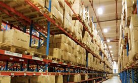 娼墝champion,娼墝champion鏂版