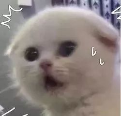 警方查获假伟哥,警方查获170万粒假伟哥