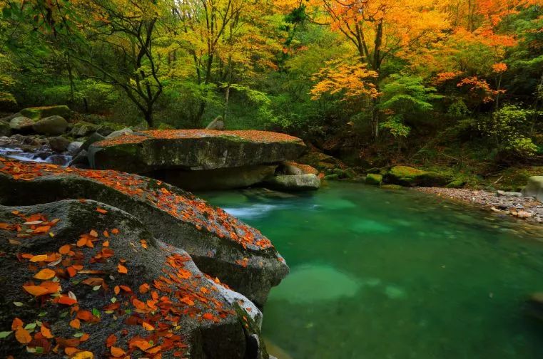 错过了红叶最佳观赏时间,光雾山红叶最佳观赏地方是哪里