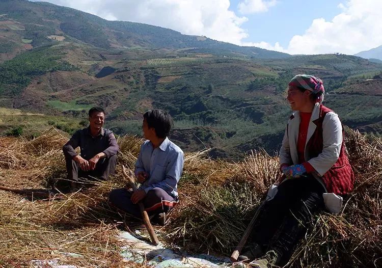 它被称“五谷之王”，泡水喝，清脂肪降三高，养生抗衰老！