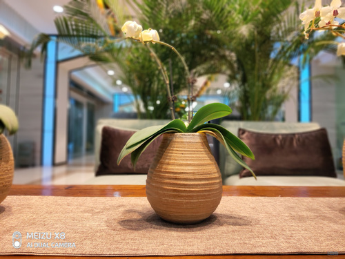 魅族x8打游戏可以使用刘海屏吗,魅族X8测评