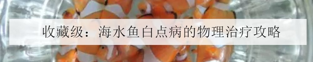 海水小百科—人字蝶