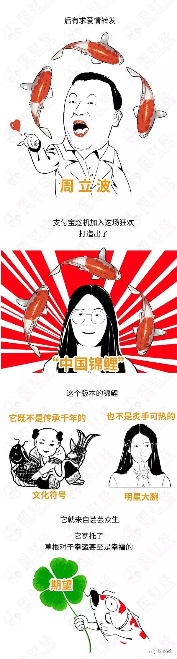 大棚养殖锦鲤,宜兴锦鲤养殖