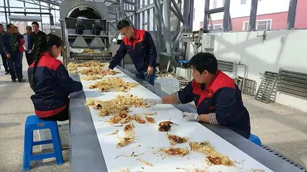 浜哄弬璨傜毊楣胯尭鍦ㄥ摢涓渷,浜哄弬楣胯尭璨傜毊鏄摢涓湴鍖虹殑鐗逛骇