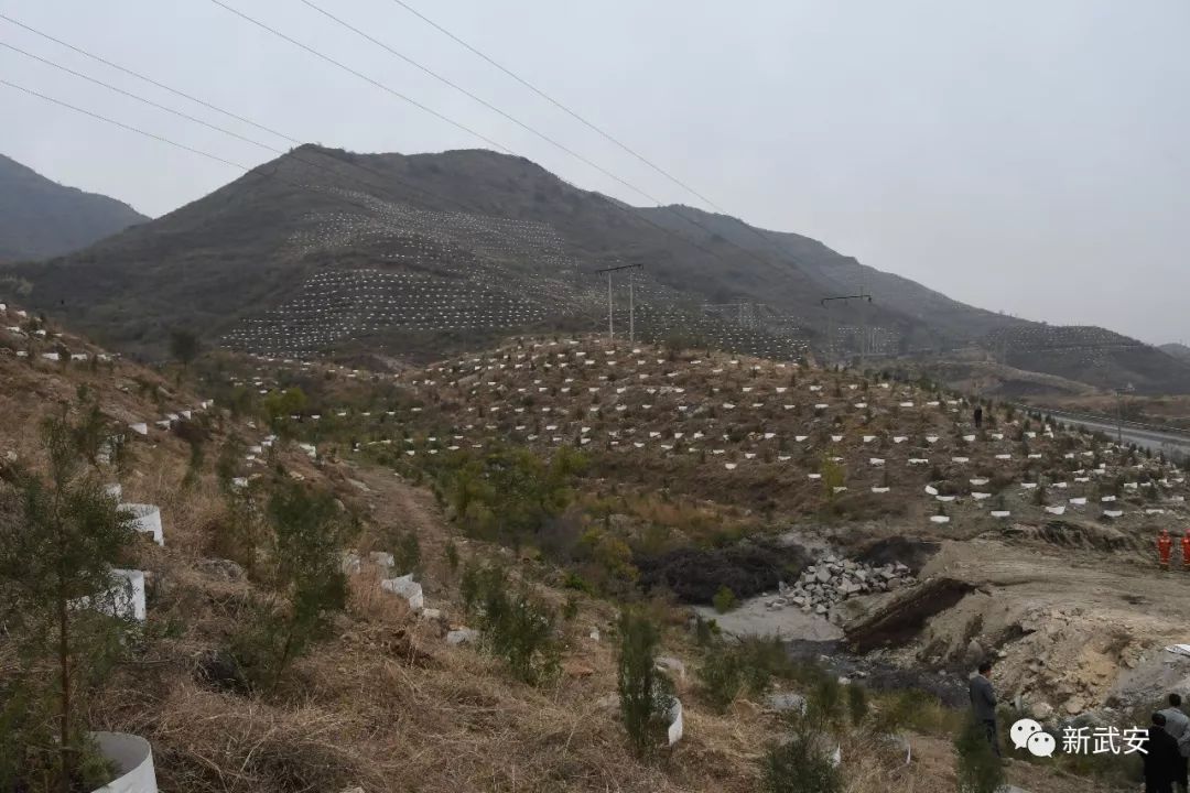 延峰市长带队来“巡山”，原来是为了这两件大事！