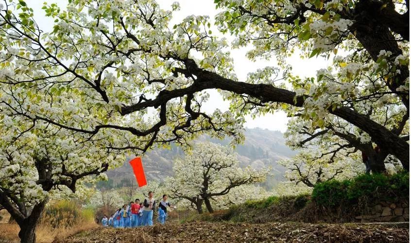 宁阳景区推荐,宁阳八大景区都有哪些