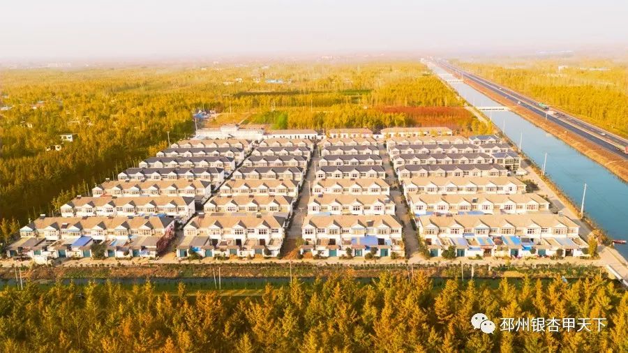 徐州邳州日报,邳州新闻资讯