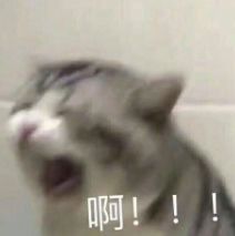 药店卖假的活络油,双飞人药水和活络油