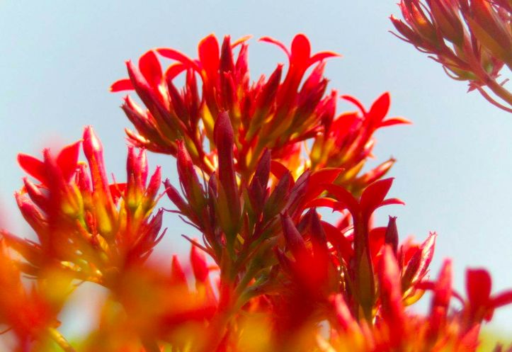 淡纹抗皱法令纹面膜推荐,法令纹面膜平价推荐