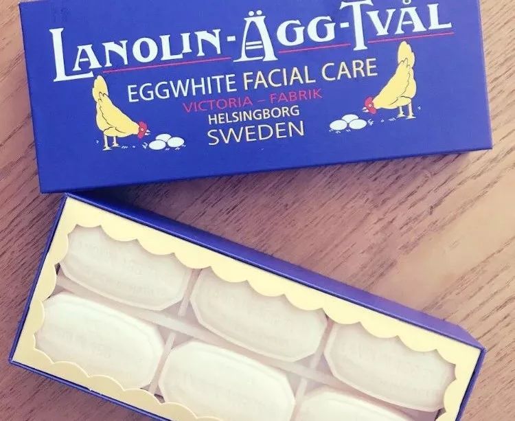 追了LOHAS11个编辑的战利品｜私藏好物清单