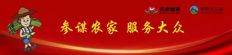「参谋生活」一个大消息传来,再也不用担心丢火车票啦!