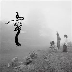 hqcd发烧碟,hqcd碟片正品