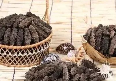 青岛的海参好还是大连的海参好,大连海参怎么买才正确