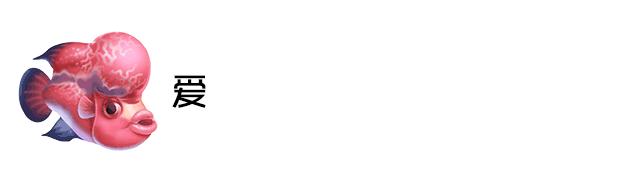 小罗不吃东西就代表出问题了吗?