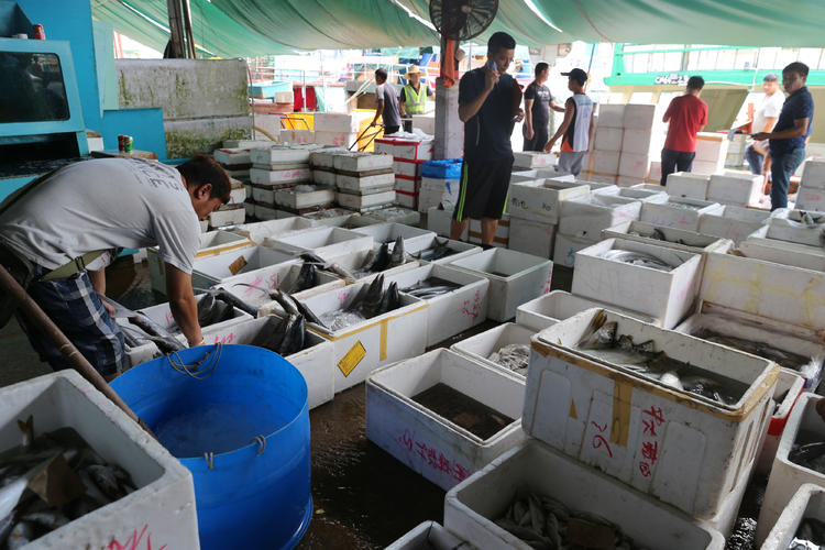 老渔民牛哥，香港的渔业变化的见证者｜香港市井⑥