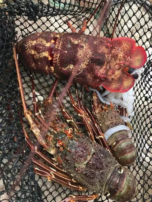 深圳网红景点马尔代夫,深圳马尔代夫沙滩附近游玩