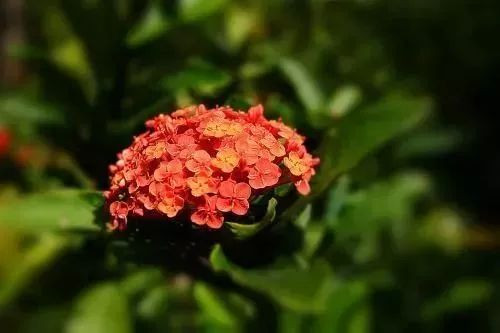 珠海海滨公园值得去吗,珠海旅游攻略海滨公园路线