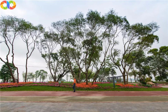 珠海海滨公园值得去吗,珠海旅游攻略海滨公园路线