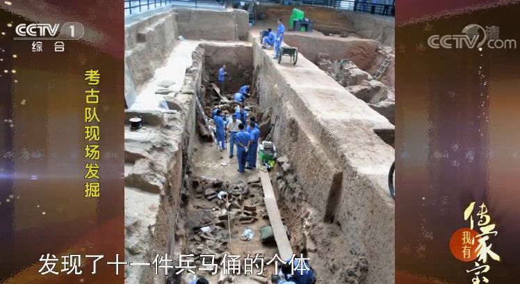 倒立被称为什么,倒立起来是什么意思