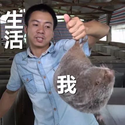 身体乳哪个牌子好秋冬季用的平价,冬季身体乳推荐大干皮学生党平价