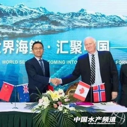 海产业竞争越演越烈!海产企业深度联合源头资源与下游渠道,不能再单打独斗了