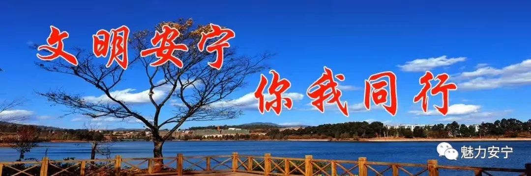 兰州市安宁区新时代好少年,新时代好少年奋进新征程