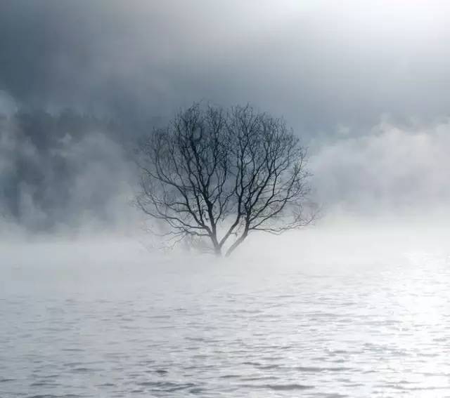 诗词｜中国水平最高的20首诗词，值得一读再读！