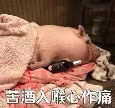 那一夜他喝多了，下单了一只小香猪、一只母孔雀、一条娃娃鱼，醒来后……