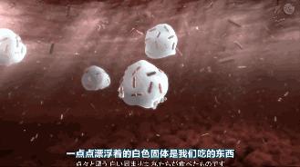 清新口气避免尴尬,拯救口气