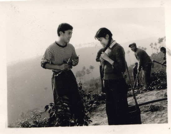 流行蓝衬衫的年代,街上为什么会流行红衬衫