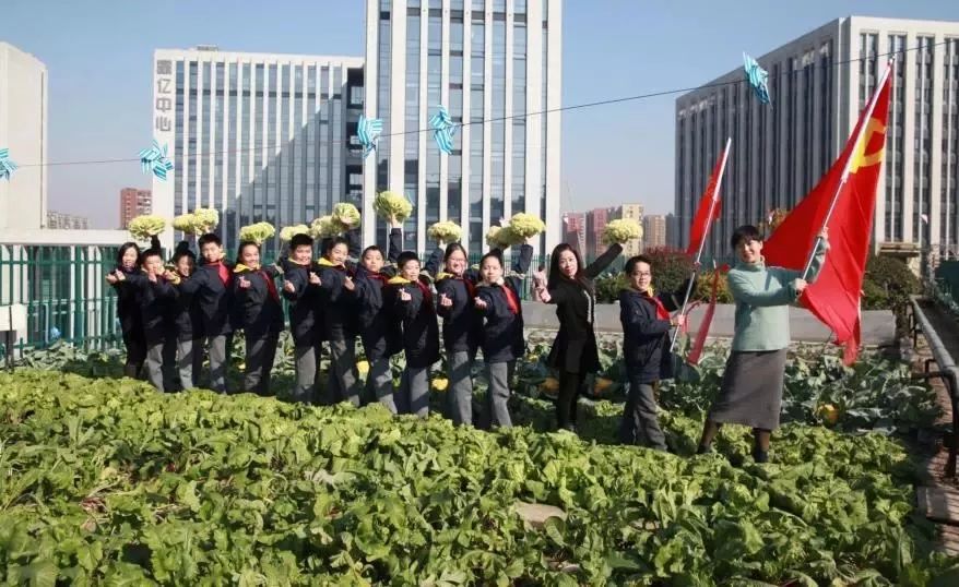 一份“濮小杯国际象棋”邀请函