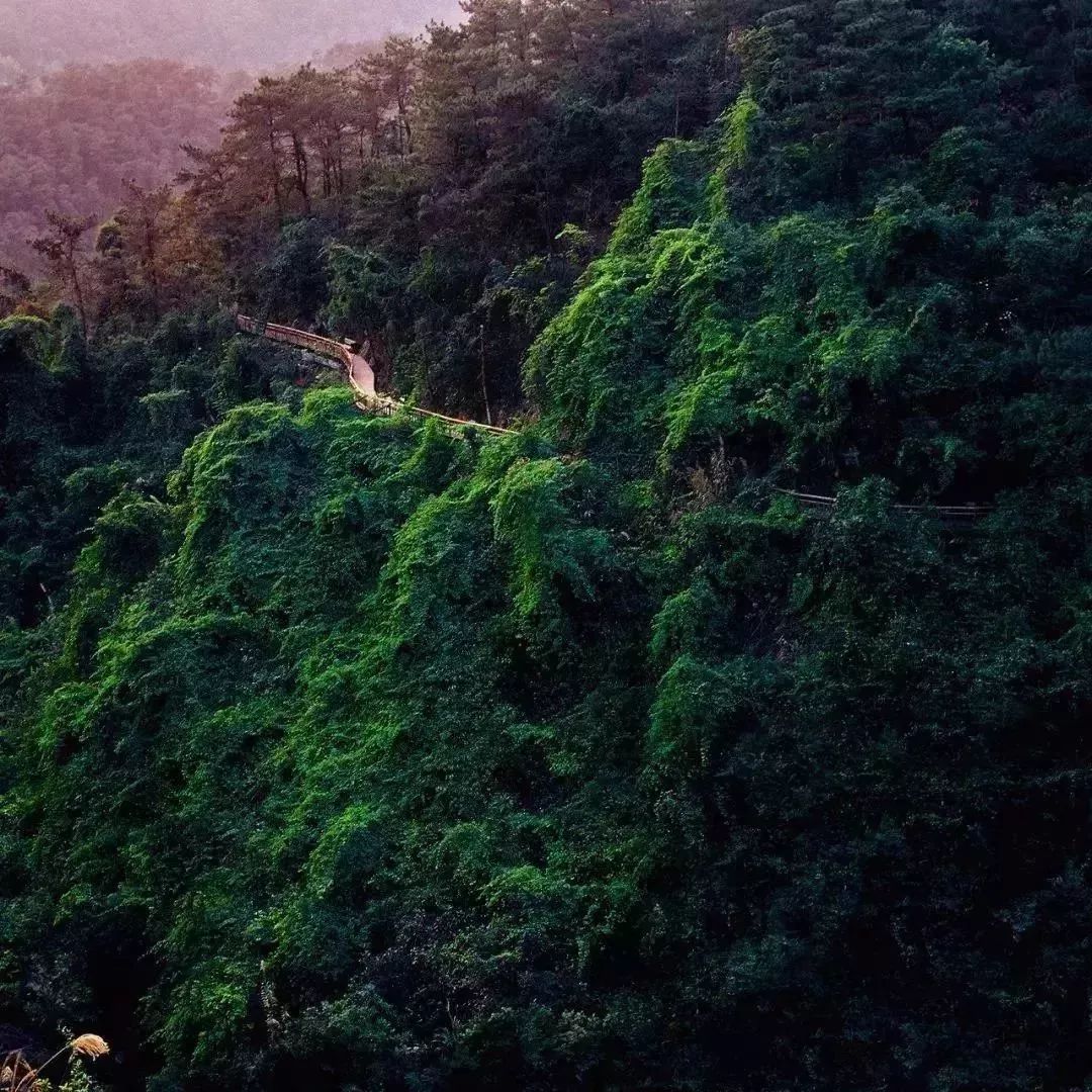 海沧旅游十大必去景点,厦门海沧游玩景点有哪些