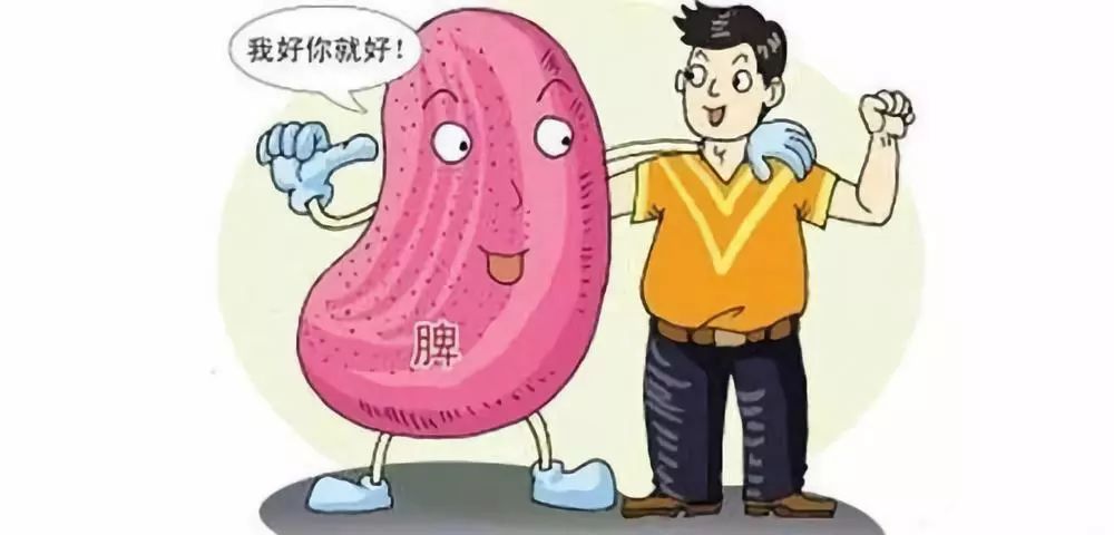 东北老旱黄瓜籽补钙吗,黑芝麻和黄瓜籽补钙吗