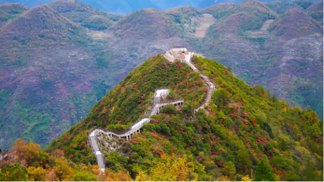 “百万大咖走三峡，当红主播秀红叶”，即将揭开巫山的“盛世美颜”