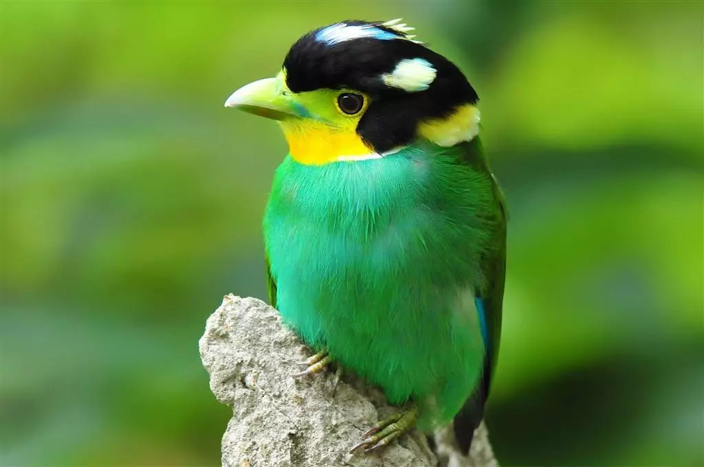 成都最新批发市场,成都最大的小商品批发市场在哪里