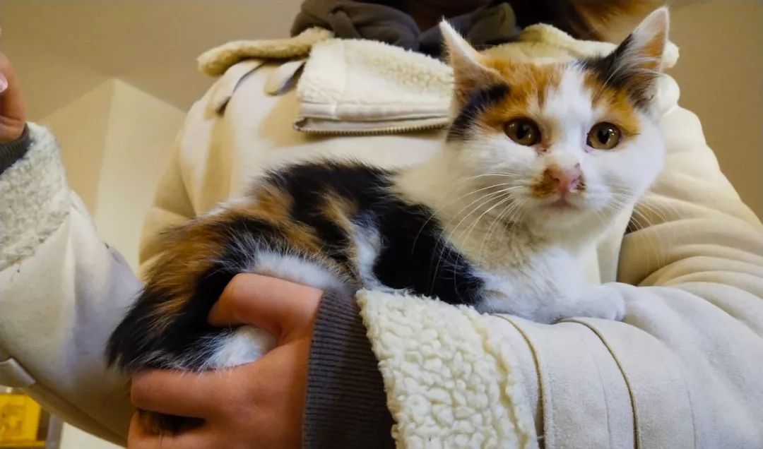 萌爪神吐槽馆,说你想说的