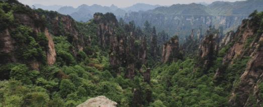 自称“射鸡师”！这个“不太正经”的设计师把酒店开了半个中国，今年终于到杭州了！