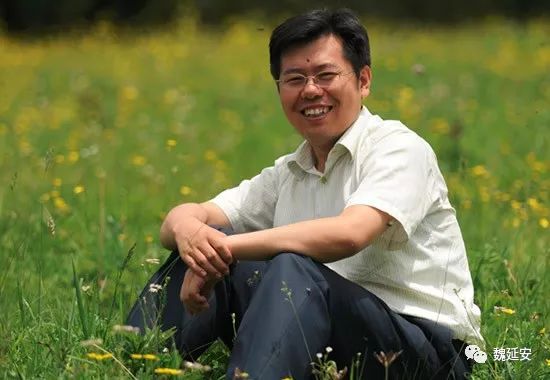 魏延安苹果电商,魏延安淘宝村现状