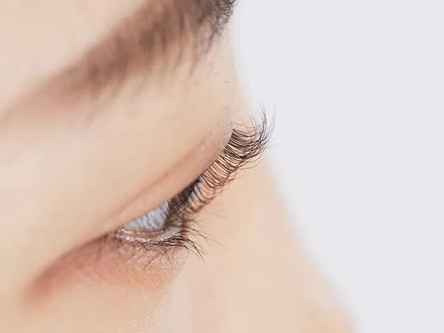 便携又好用的睫毛夹推荐,持久卷翘高品质睫毛夹