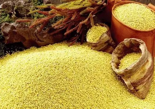 颈动脉血管硬化的症状和危害,颈动脉硬化和不均匀增厚