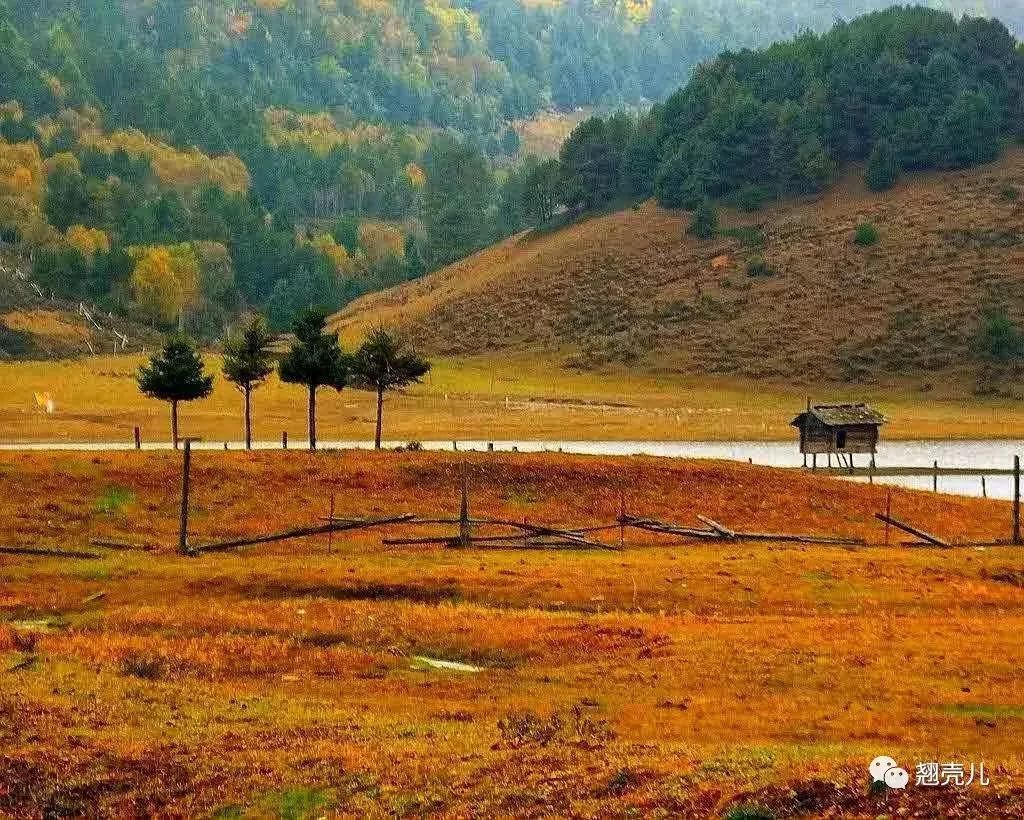 游记分享｜如梦木里，神秘的花园