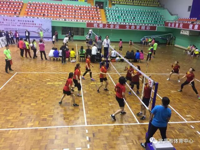 宜昌人攀岩、羽毛球、太极拳免费学！报名信息都在这！