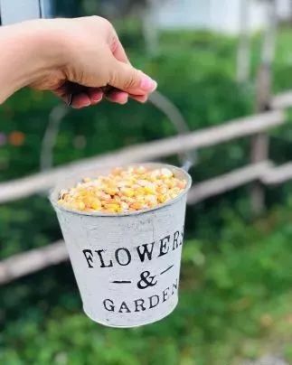 成都可以带娃钓鱼烧烤的农家乐,推荐好的农家乐成都