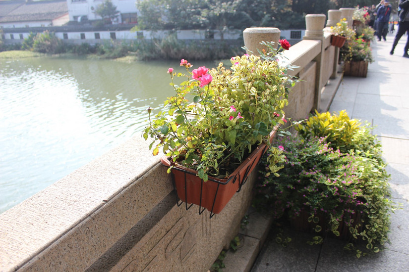 阳澄湖春季游玩攻略大全,阳澄湖秋天最美的地方