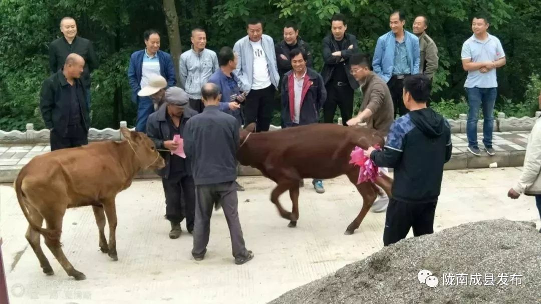 涔￠晣鑴辫传鏀诲潥宸ヤ綔鎺犲奖,闀囧師鍘挎柊鍩庨晣鑴辫传鏀诲潥绾疄
