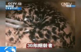 香烟有害健康为什么让它合法化,香烟有害为什么当初还有人吸烟