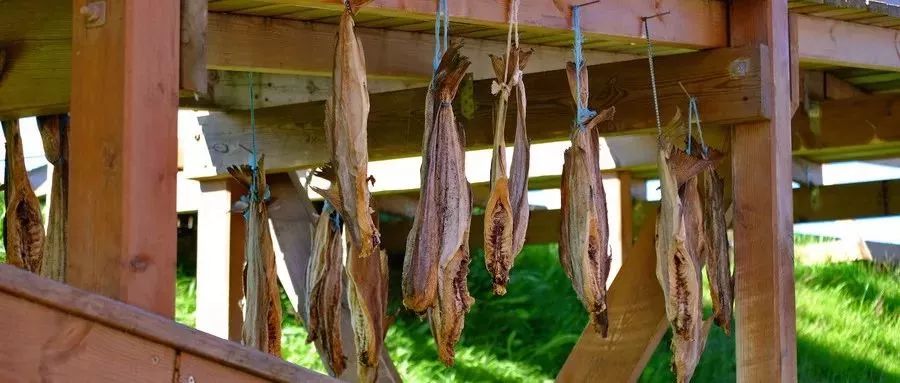 今日小雪愿一切安好,今日小雪愿大家一切安好